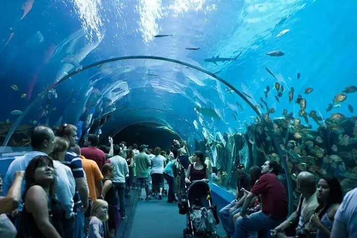 Hurghada Grand Aquarium tour | Best Booking Price