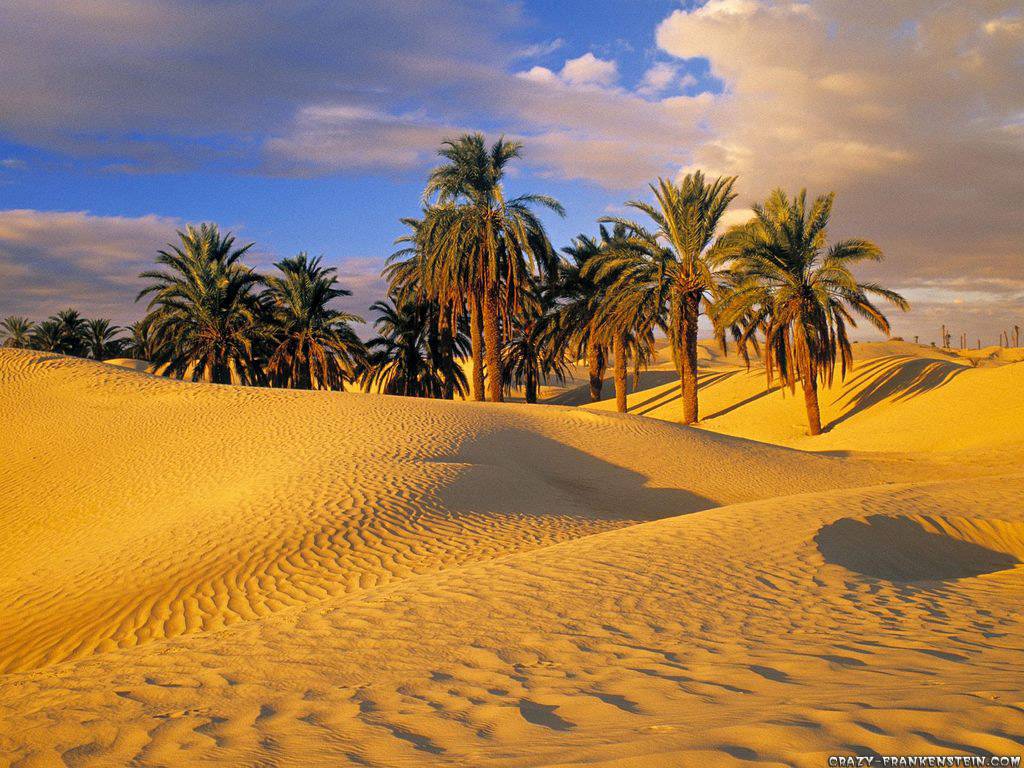 Fayoum Egypt | The biggest Oasis in the world | Al Fayoum Oasis