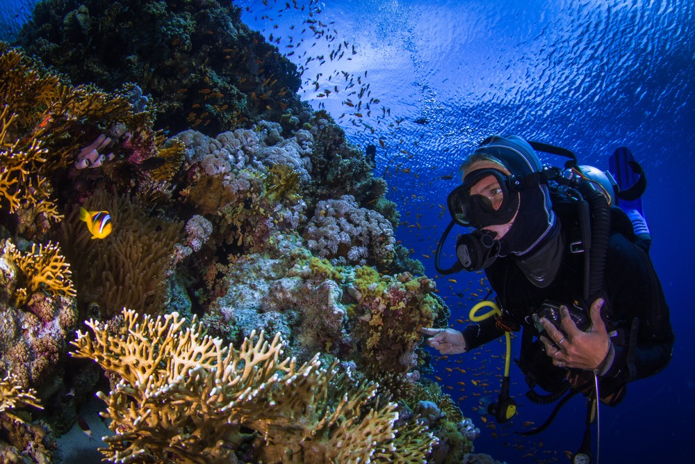 Diving Center in Makadi Bay Egypt | Best Scuba Diving Hurghada